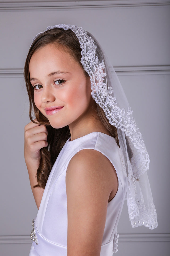 Mantilla Veil